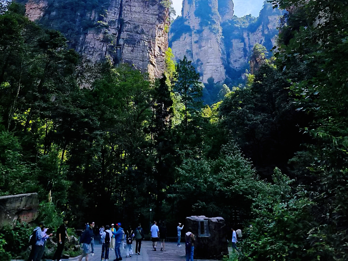 微信图片_20260916094816_516_4.jpg