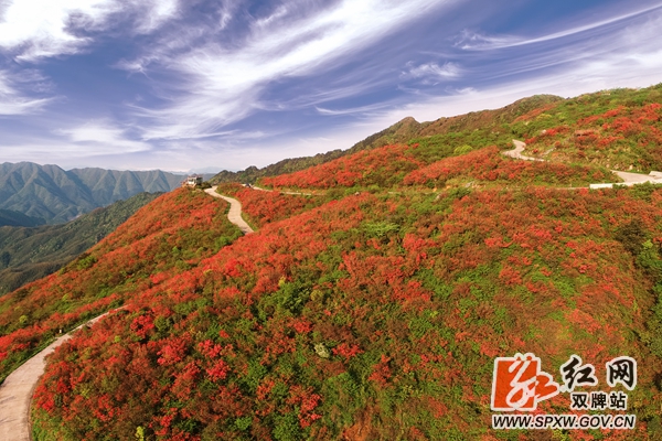 阳明山2_副本_副本.jpg