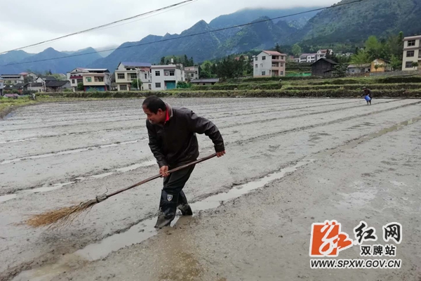 不误农时 (2)_副本.jpg
