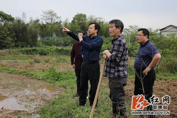 苏小康书记在红福田村耕田与村民交流2_副本.png