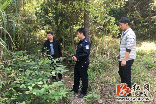 理家坪 毒品_副本.jpg