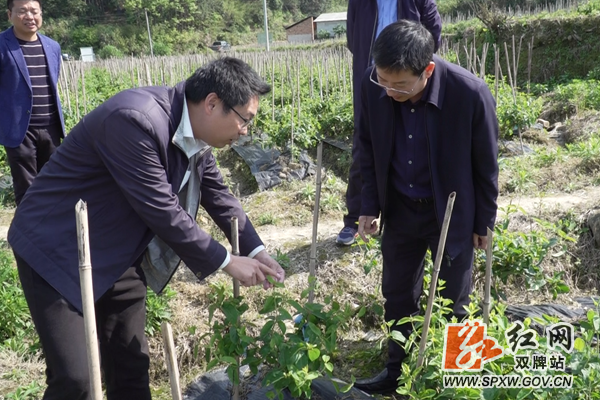微信图片_20200414155139_副本_副本.png