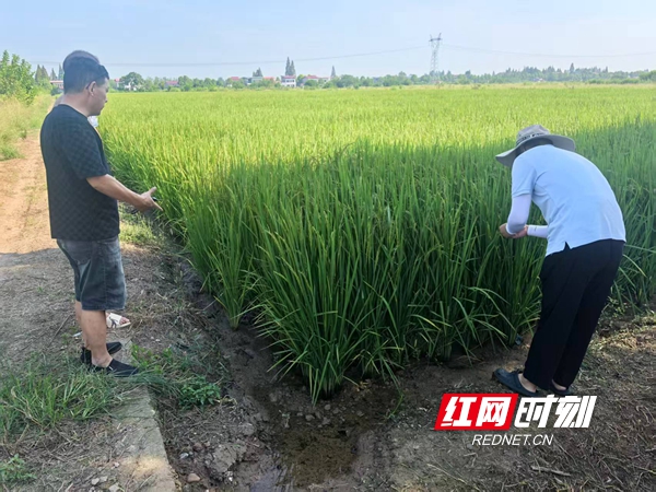 微信图片_20260609112657_25_2477.jpg 微信图片_20260609112657_25_2477.jpg