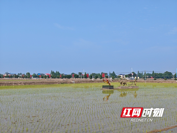 微信图片_20260608173455_792_301.jpg 微信图片_20260608173455_792_301.jpg