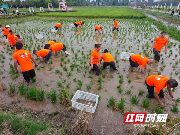 微信图片_20260924084142_159_62.jpg