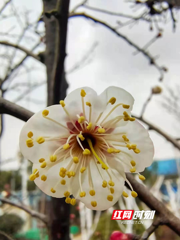 微信图片_20210202112259.jpg 微信图片_20210202112259.jpg
