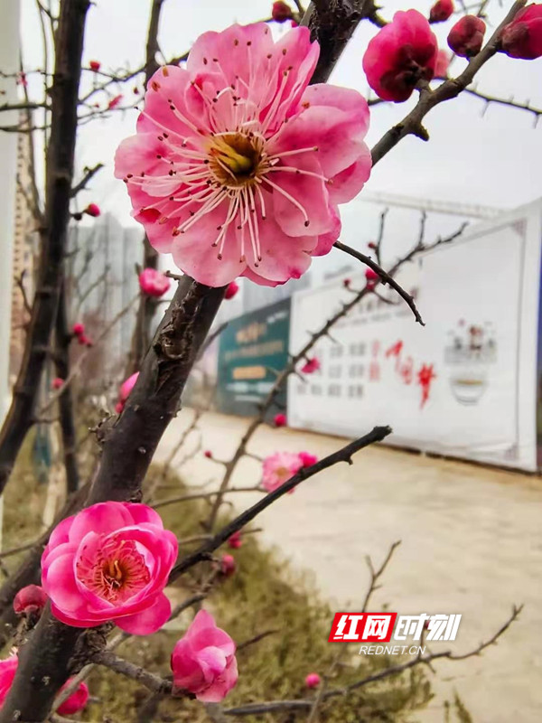 微信图片_20210202112305.jpg 微信图片_20210202112305.jpg
