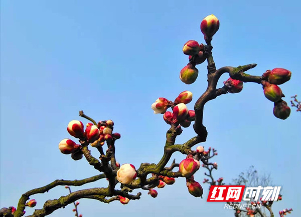 微信图片_20210202112250.jpg 微信图片_20210202112250.jpg