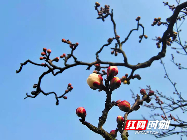 微信图片_20210202112302.jpg 微信图片_20210202112302.jpg