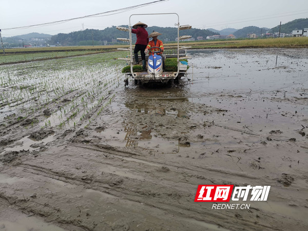 微信图片_20210724200204_副本.jpg