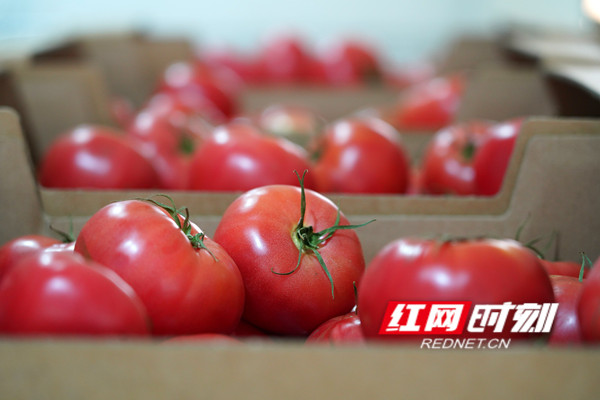 微信图片_20230522223213.jpg