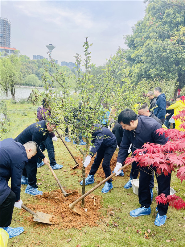 植树情景1.jpg