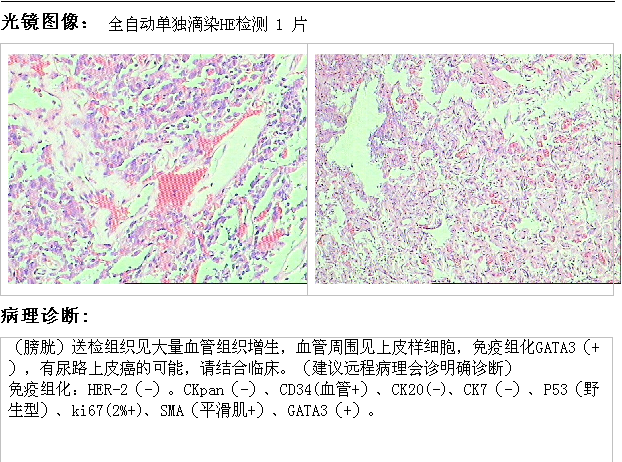 微信图片_20250424162003.png