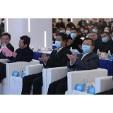湖南自贸试验区打响新年第一炮，一批龙头企业集中入驻高桥大市场
