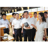 商务部党组成员、部长助理任鸿斌一行调研中非经贸合作促进创新示范园
