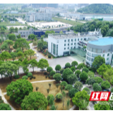 视频丨借力“云端”答考题 长沙机器人产业再“延”链