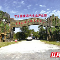 用“三产融合”为乡村振兴“破题”，宁乡要让“1+1+1＞3”