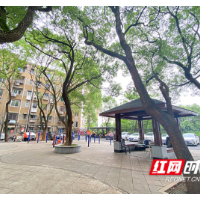 破题先行，老旧小区改造“升级版”来了！