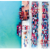 青年金霞 项目为王