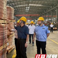 迎双节保安全 湖南省市场监管局在长沙开展专项行动督导检查