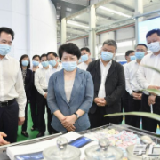 全市一季度重点工作拉练点评活动举行，吴桂英郑建新参加