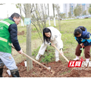 “植”此青绿，宁乡与春天撞个满怀