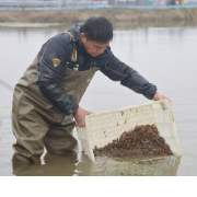 “水上春耕”正当时 “荷花虾”走出致富路