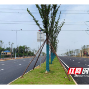 好消息！环保大道主干路东西线全线通车