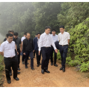 长沙市领导赴长沙县巡林：以“制”促“治”  守护森林安全