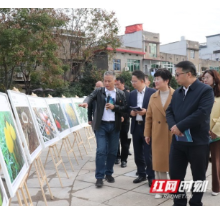 三市携手绘景  让“党建红”增色长株潭“大花园”