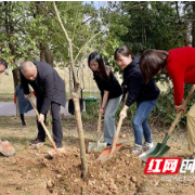 人大代表齐种廉洁树 共建清风林