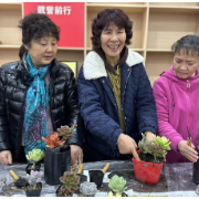 金滩社区开展“三八”妇女节多肉微景观创作活动