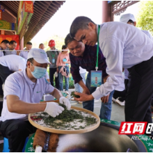 “茶香”竞技，第二届“沩山毛尖”杯手工制茶大赛举办