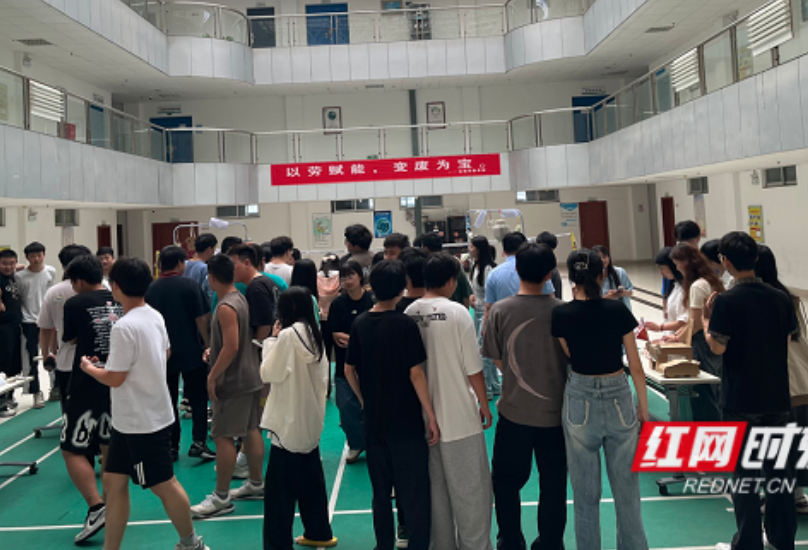 变“废”为“宝”，这样的劳动实践，有趣！