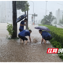 巡查、监测、转移……东山风雨守护人“汛”速出击