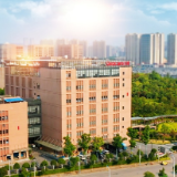 50平方米到全球的甜蜜突围