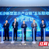 “五长”联动、院士论道 长沙新型显示产业“链”上发力