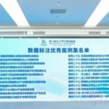 3大案例获“全国优秀”！长沙国家数据标注基地建设再添新彩