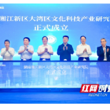 湖南湘江新区大湾区文化科技产业研究院成立