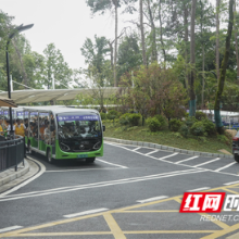 这5处关键节点“微改造”，岳麓山游玩有了新体验