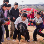 城乡对接促融合 莲花农趣迎新春