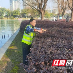 暖“蓝”守护，他们让长沙风景更有温度