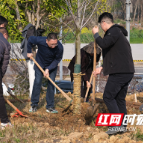 从“每年一趟”到“全年在线”，浏阳河畔种下“四季”