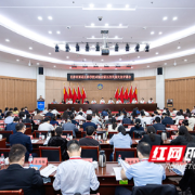 雨花区科协这五年：从“跟跑”到“领跑”的背后