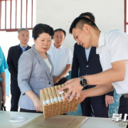 吴桂英在宁乡市督导烟花爆竹、危化品领域安全生产工作