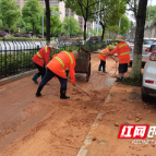夜间排险+日间清淤 这群人让暴雨过后的湘江新区路净城洁