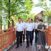 陈竞在雨花区调研