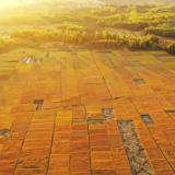 全面推进乡村振兴,中央这样谋划——中央农村工作会议传递五大新信号