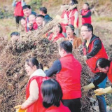 中行湖南省分行：用金融活水“灌溉”乡村振兴