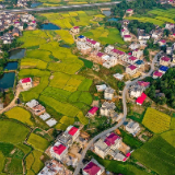 娄底市农业农村局：立足本职 助力打赢疫情防控阻击战